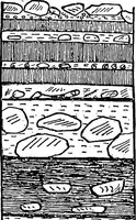 An illustration from Men of the old stone age, their environment, life and art (1918)