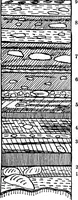 An illustration from Men of the old stone age, their environment, life and art (1918)