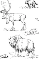 Picture 94 of 260 from Men of the old stone age, their environment, life and art (1918), leaf 232