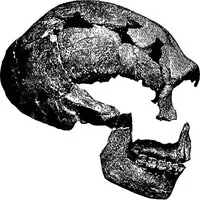 Picture 104 of 260 from Men of the old stone age, their environment, life and art (1918), leaf 259