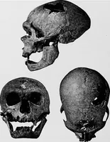 An illustration from Men of the old stone age, their environment, life and art (1918)