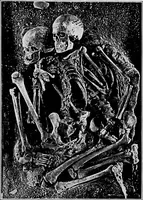 An illustration from Men of the old stone age, their environment, life and art (1918)