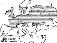 An illustration from Men of the old stone age, their environment, life and art (1918)