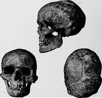 An illustration from Men of the old stone age, their environment, life and art (1918)