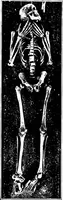 An illustration from Men of the old stone age, their environment, life and art (1918)