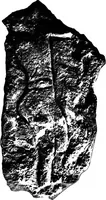 Picture 165 of 260 from Men of the old stone age, their environment, life and art (1918), leaf 368