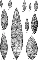 An illustration from Men of the old stone age, their environment, life and art (1918)