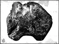 An illustration from Men of the old stone age, their environment, life and art (1918)