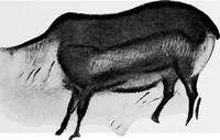 An illustration from Men of the old stone age, their environment, life and art (1918)