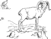 An illustration from Men of the old stone age, their environment, life and art (1918)