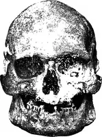 An illustration from Men of the old stone age, their environment, life and art (1918)