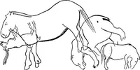 An illustration from Men of the old stone age, their environment, life and art (1918)