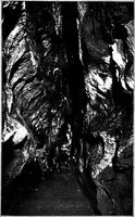 An illustration from Men of the old stone age, their environment, life and art (1918)