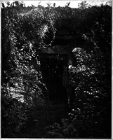 Picture 221 of 260 from Men of the old stone age, their environment, life and art (1918), leaf 465