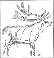 An illustration from Men of the old stone age, their environment, life and art (1918)