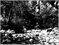 An illustration from Men of the old stone age, their environment, life and art (1918)