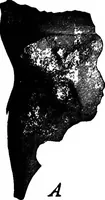 Picture 5 of 260 from Men of the old stone age, their environment, life and art (1918), leaf 48