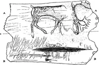 Picture 234 of 260 from Men of the old stone age, their environment, life and art (1918), leaf 484