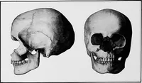 An illustration from Men of the old stone age, their environment, life and art (1918)
