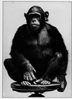 An illustration from Men of the old stone age, their environment, life and art (1918)