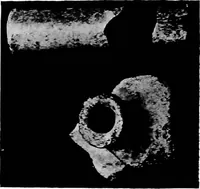 An illustration from Illustrated descriptive account of the Museum of Andalucian pottery and lace, antique and modern; together with notes on pre-Roman Seville and the lost city of Tharsis (1913)