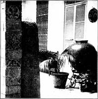 Picture 3 of 44 from Illustrated descriptive account of the Museum of Andalucian pottery and lace, antique and modern; together with notes on pre-Roman Seville and the lost city of Tharsis (1913), leaf 14