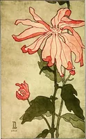 An illustration from Nature drawing from various points of view; (1910)