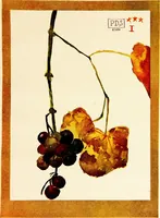 An illustration from Nature drawing from various points of view; (1910)