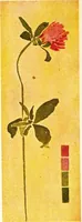 An illustration from Nature drawing from various points of view; (1910)