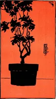 Picture 5 of 6 from Nature drawing from various points of view; (1910), leaf 154