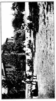 An illustration from Graded games and rhythmic exercises for primary schools (for the school room and playground) (1907)