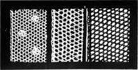An illustration from Bobbins of Belgium : a book of Belgian lace, lace-workers, lace-schools and lace-villages (1920)