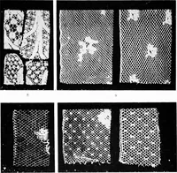Picture 20 of 74 from Bobbins of Belgium : a book of Belgian lace, lace-workers, lace-schools and lace-villages (1920), leaf 101