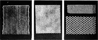 An illustration from Bobbins of Belgium : a book of Belgian lace, lace-workers, lace-schools and lace-villages (1920)