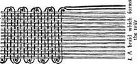 An illustration from Bobbins of Belgium : a book of Belgian lace, lace-workers, lace-schools and lace-villages (1920)