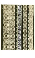 An illustration from A renascence of the Irish art of lace-making. Illustrated by photographic reproductions of Irish laces, made from new and specially designed patterns (1888)