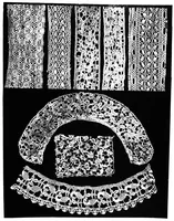An illustration from Lace album; a series of twenty-six plates of designs for lace (1878)