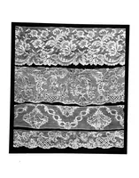 An illustration from Lace album; a series of twenty-six plates of designs for lace (1878)