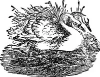 An illustration from Our homes and their adornments; or, How to build, finish, furnish and adorn a home ... the whole being designed to make happy homes for happy people (1882)