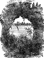 Picture 70 of 114 from Our homes and their adornments; or, How to build, finish, furnish and adorn a home ... the whole being designed to make happy homes for happy people (1882), leaf 287