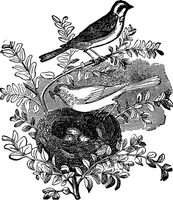 Picture 105 of 114 from Our homes and their adornments; or, How to build, finish, furnish and adorn a home ... the whole being designed to make happy homes for happy people (1882), leaf 391