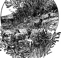 An illustration from Our homes and their adornments; or, How to build, finish, furnish and adorn a home ... the whole being designed to make happy homes for happy people (1882)