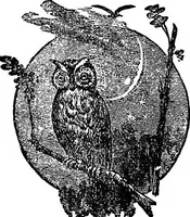 An illustration from Our homes and their adornments; or, How to build, finish, furnish and adorn a home ... the whole being designed to make happy homes for happy people (1882)