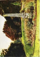 Picture 11 of 21 from Gardens of celebrities and celebrated gardens in and around London (1918), leaf 214