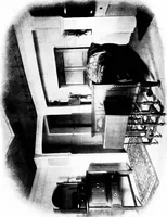 Picture 141 of 154 from Our homes, and how to beautify them (1902), leaf 236