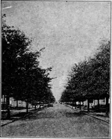 An illustration from Third report of the Commission on Beautifying the City of Norfolk, Virginia : July 1913-July 1915 (1915)