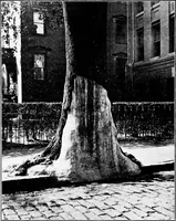 An illustration from Third report of the Commission on Beautifying the City of Norfolk, Virginia : July 1913-July 1915 (1915)
