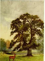 An illustration from The greater abbeys of England (1908)