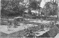 An illustration from Picturesque English cottages and their doorway gardens (1905)