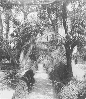 An illustration from Picturesque English cottages and their doorway gardens (1905)